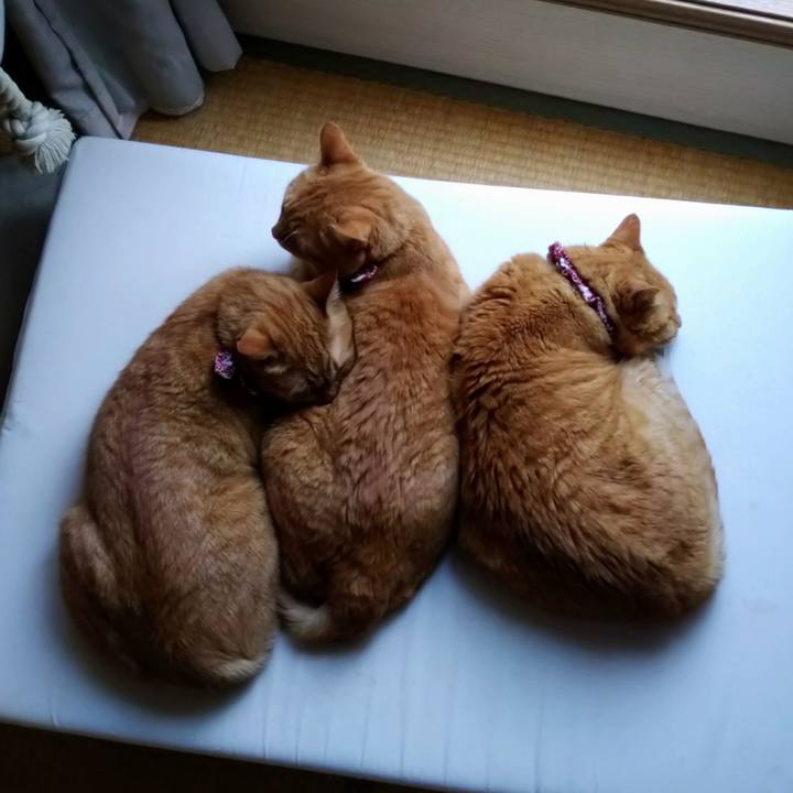 9637fbf6 afb7 45d8 b96f c2fe9f4d15ed 1626083413841