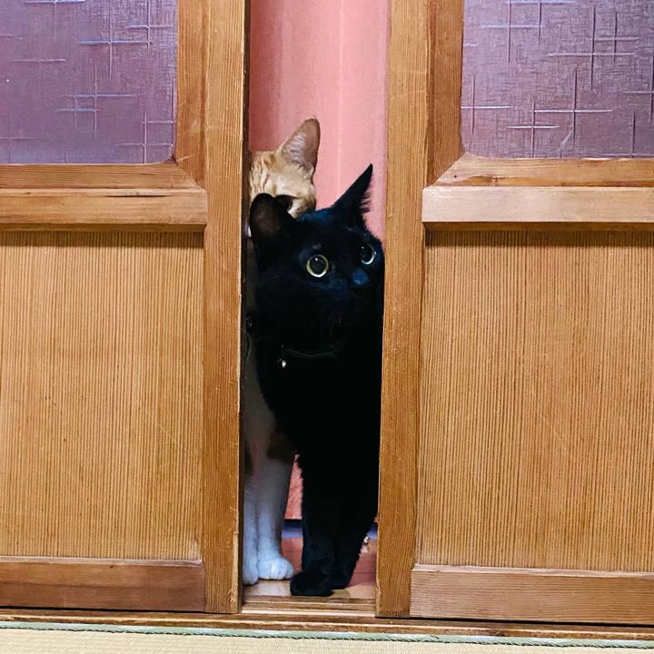 963828f8 0813 438a bf3a 86a927c7606a 1694385589783