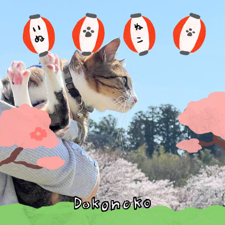 96382afc 0113 4215 a88a 7c641e485eb8 1712543526403