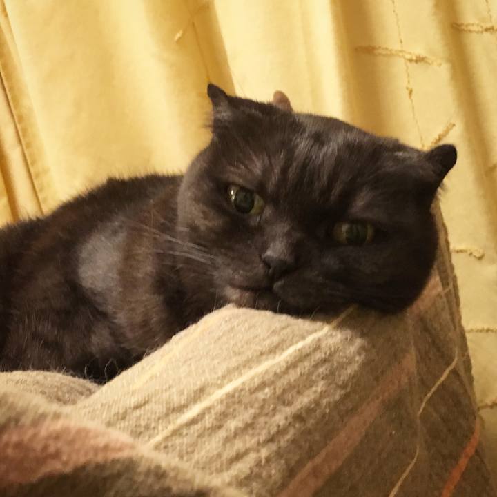 96384b71 da00 431f 937e 0856789386fb 1559292528073