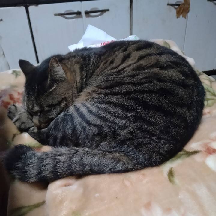 96385807 2663 4b13 84fd 106c2024f378 1673851990007