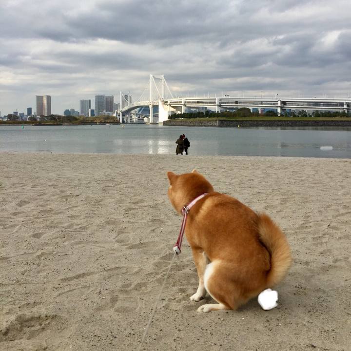 963858e8 95db 45fd b886 e49c6f5b1516 1511925723270