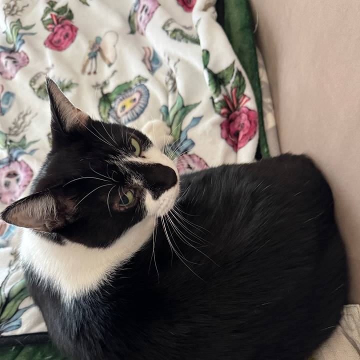 96389e73 6afb 4f2f ab94 d4ef0c46c354 1761013787491