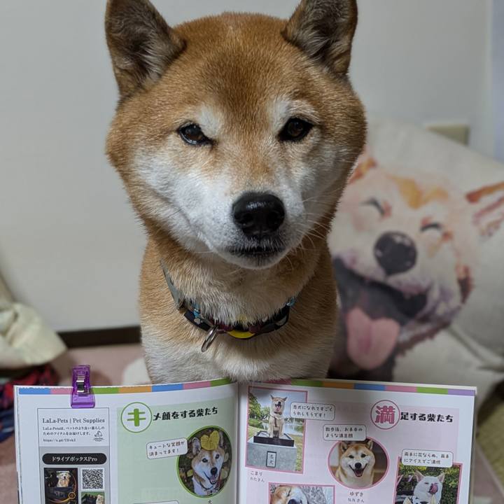 9638a3f3 94e5 4f2e b62c 353687f2eed1 1765526722391