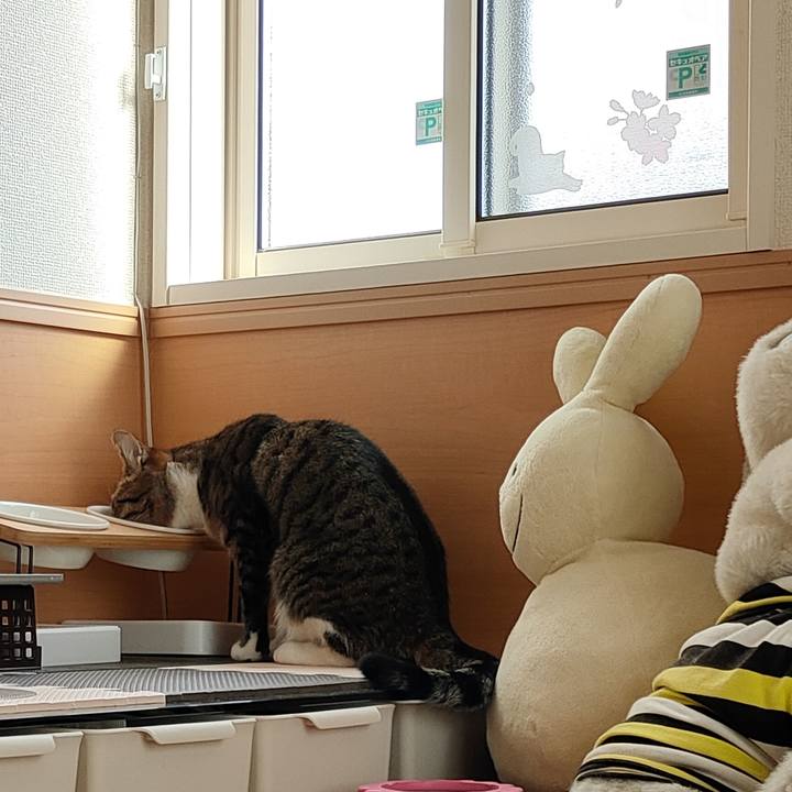 9638c50a b0ca 4340 b513 5e7a581f1b70 1678151027483