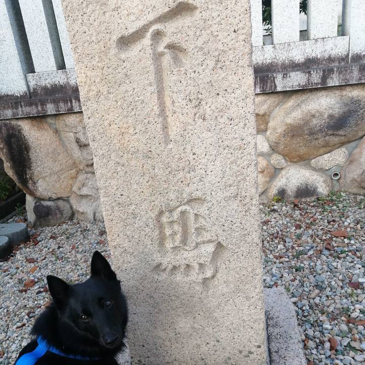 9638ce2d 7074 47e3 9347 efb75b678c98 1635371509199