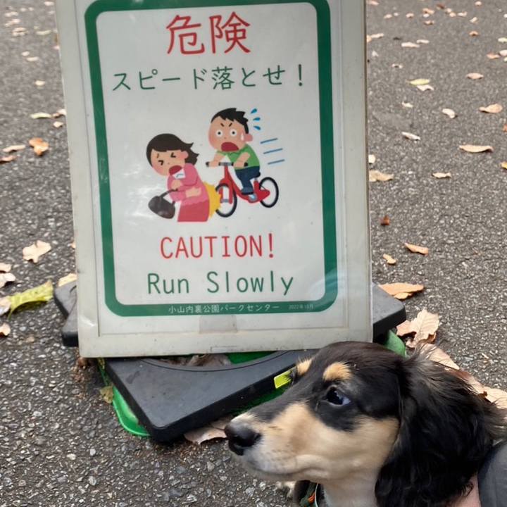 9638e1af cbcd 4161 b78b fda56da21b03 1670720946432