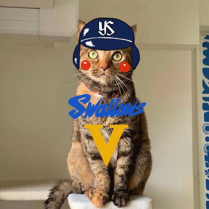 96392468 2a8e 4f6f 8e2f 6ceab23d391a 1670196297693