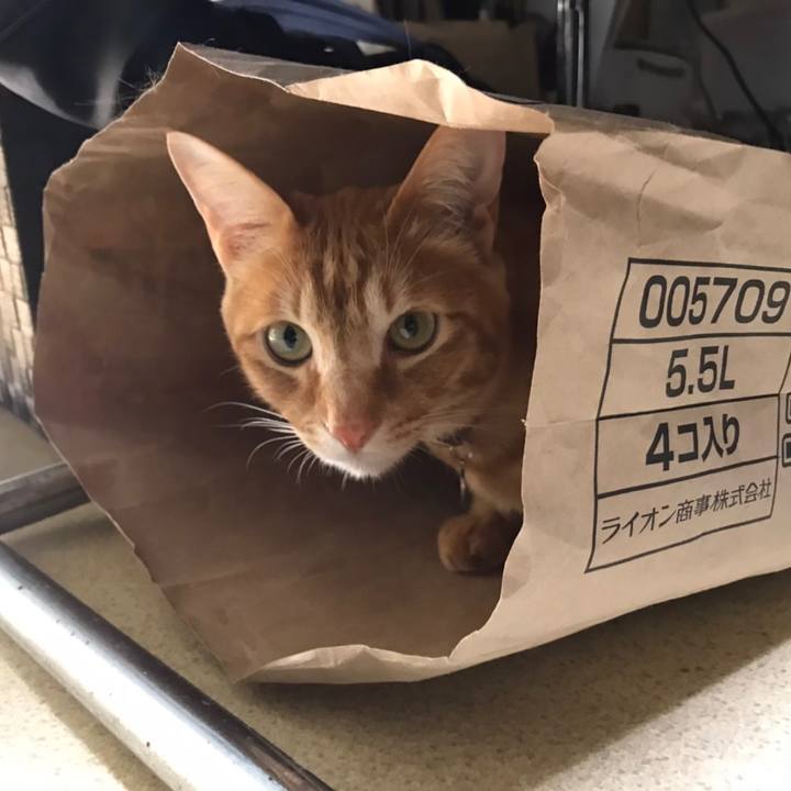 96393671 cf04 47de 9147 46cdf39f92dc 1620177099269