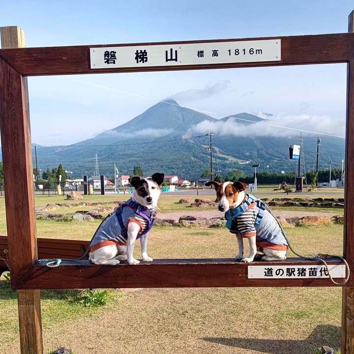 963978d4 9950 4773 93b4 d6e63c6ae64f 1684620090447