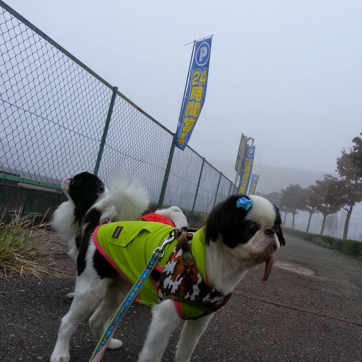 96397c1b 245c 41c5 b1df 5e0070e0bd4e 1755348498736