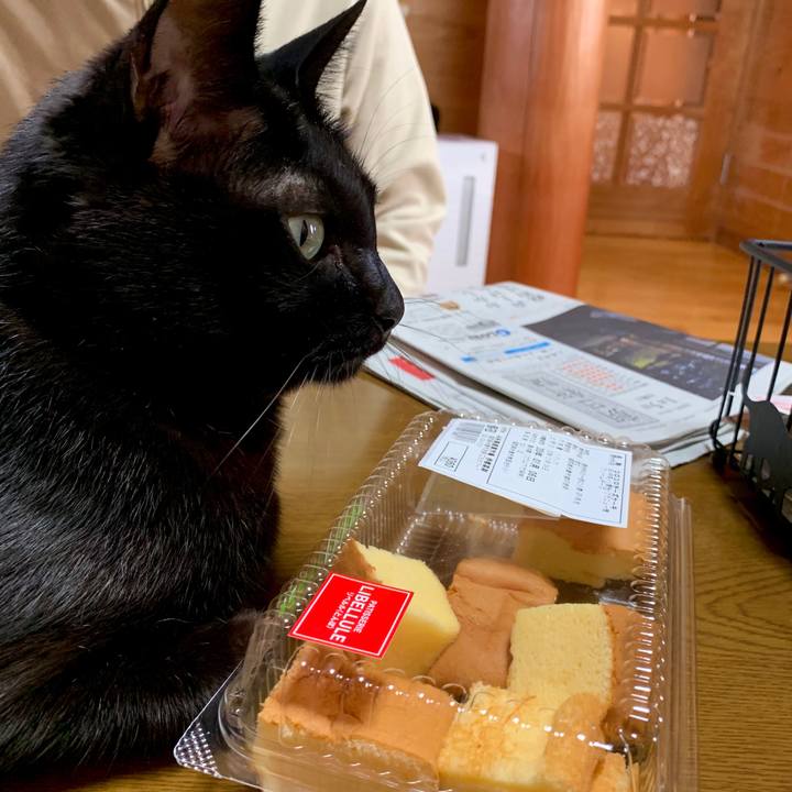 963998e7 564a 4788 a6c3 e86f5746c190 1578197062276