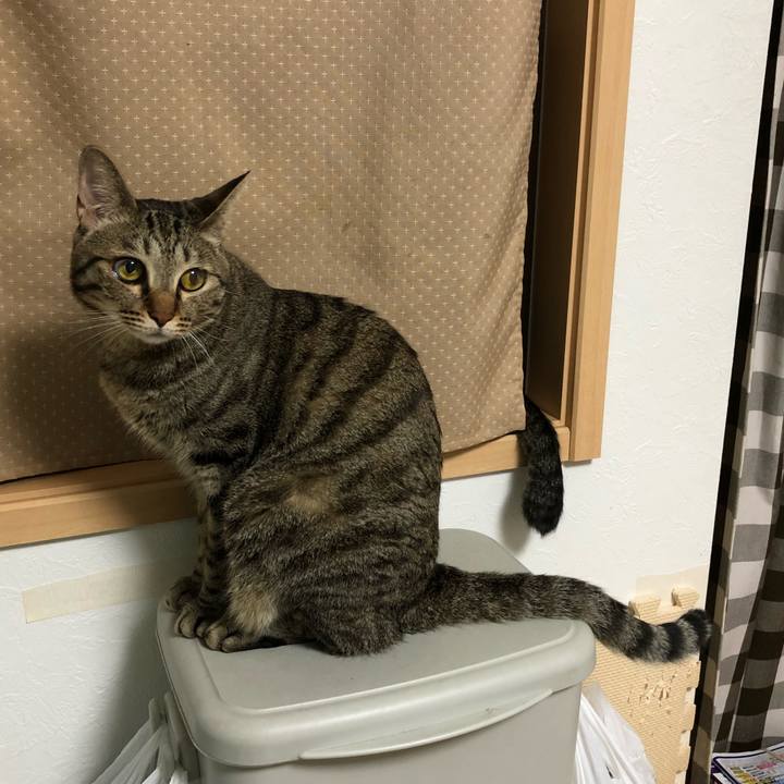 9639b476 8ee2 4bf9 a99f e231178ca0ee 1530130014995