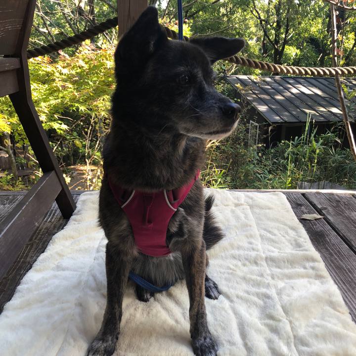 9639e0c3 8078 4834 a277 ec701437e917 1640302918081