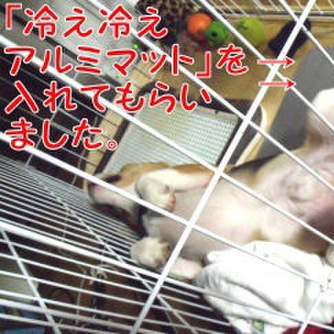 9639f2f5 298f 4f97 a1ee 462f2a329432 1687999125009