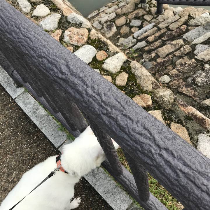 9639ffc6 81b4 49a3 8725 94c057c74575 1528510777912