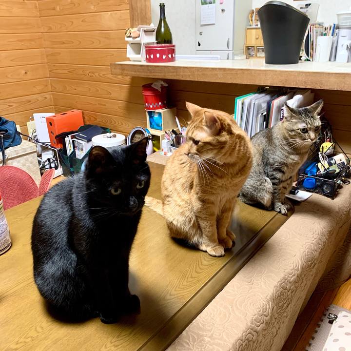 963a112e 2365 4acc a4b5 c1c62dddfb18 1586006337769