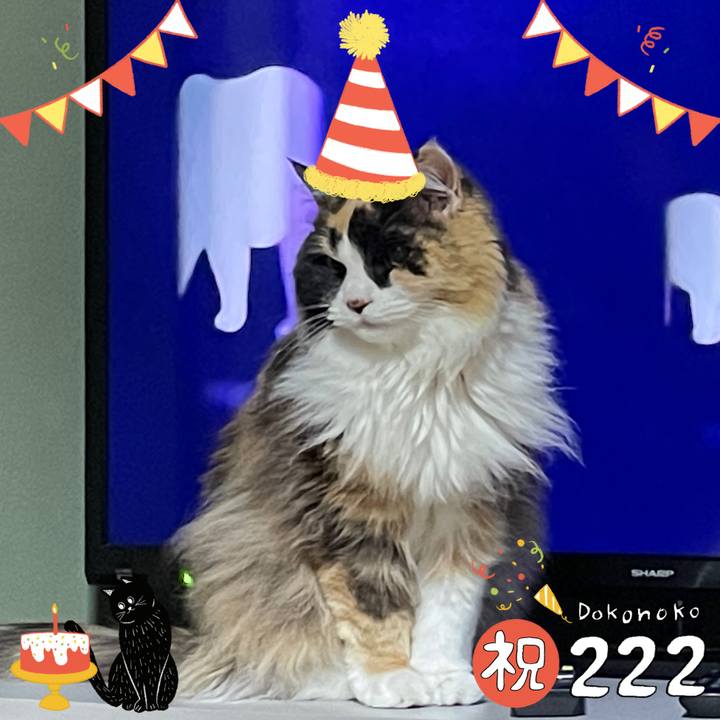 963a330b 884c 42d0 8729 37961b3ebfcf 1645524353999