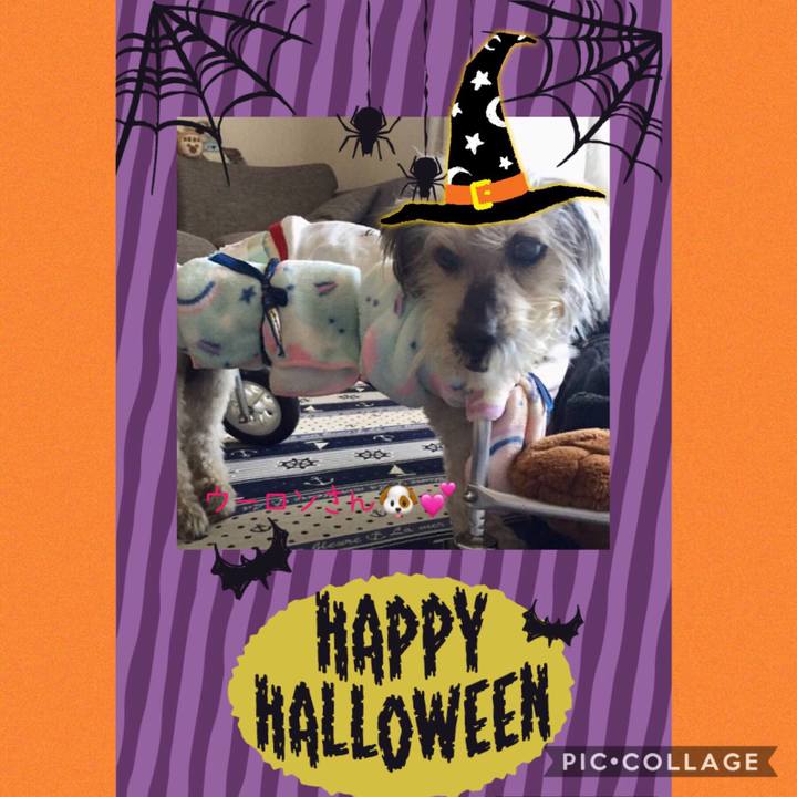 963a5997 d3df 421b 8647 49dc40dd06b0 1571897641367