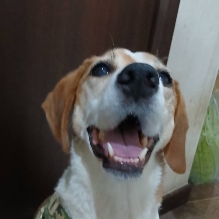 963a9e39 2f5b 455b a45b e85b3c643959 1757592534973