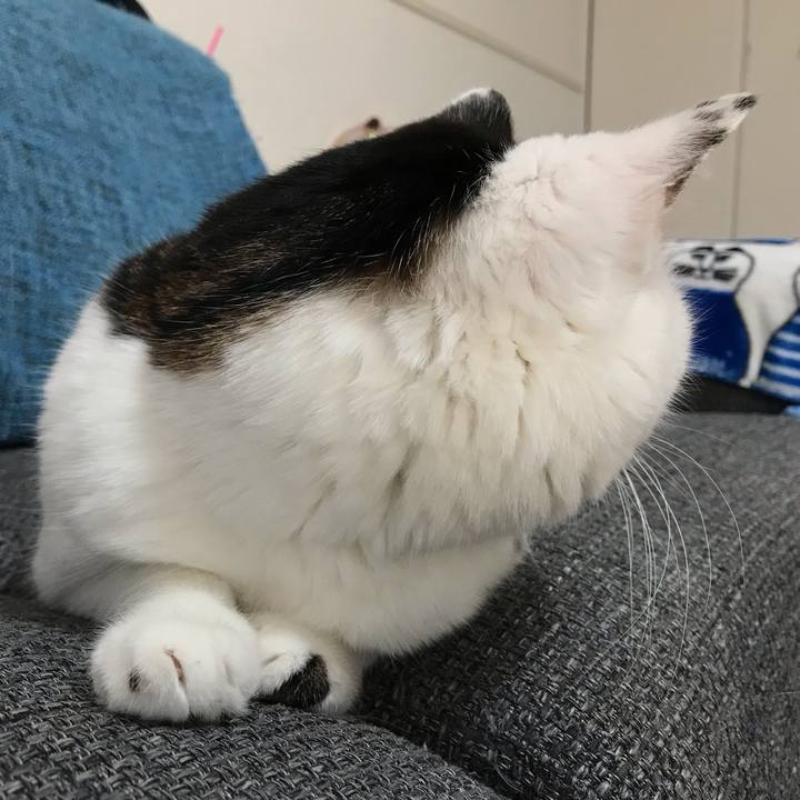 963aba86 9578 48c9 b2e0 4666a530b993 1540959762291