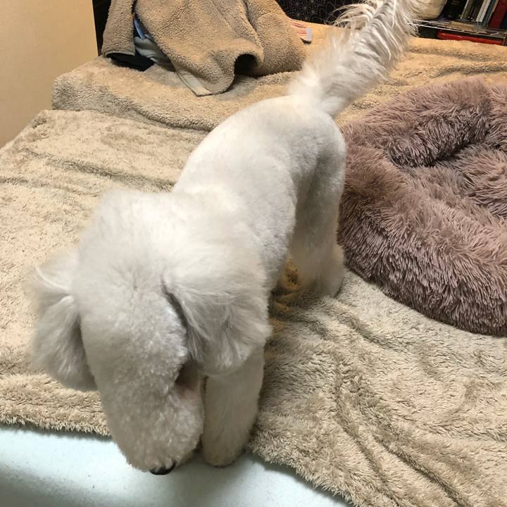 963ad8bf 46f2 4162 acee 4093c4df907a 1637479694559