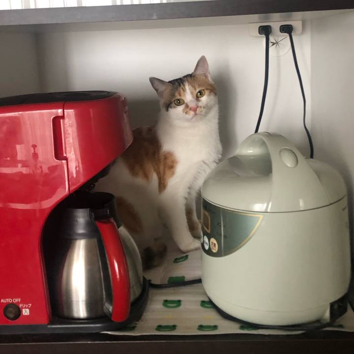 963b0170 233a 4cb9 903c 0cb206aa036d 1588894618369