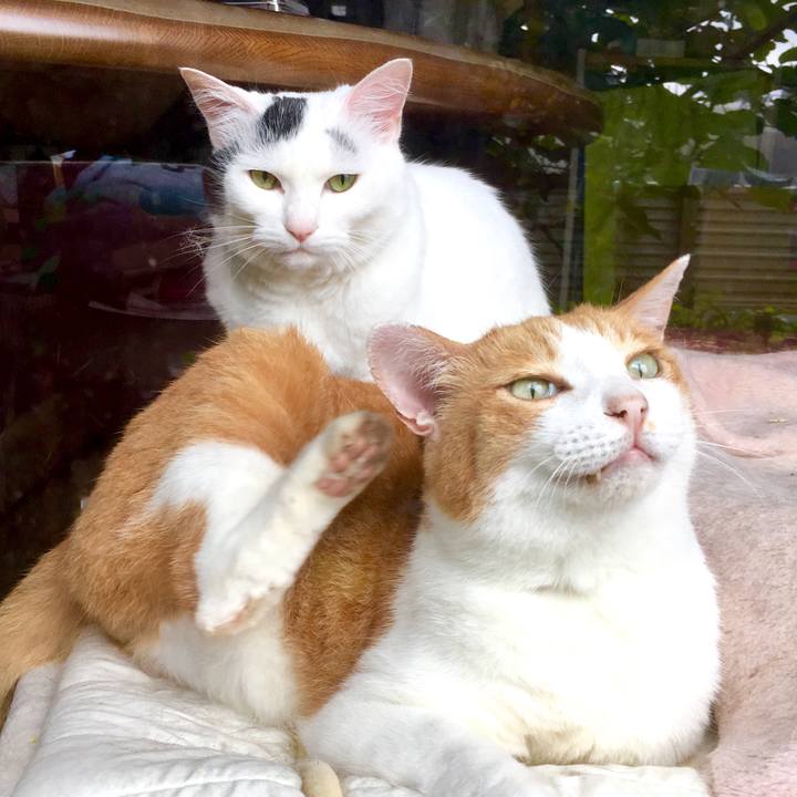 963b0587 91d1 485c 8cca 169bfea15e22 1562383376654