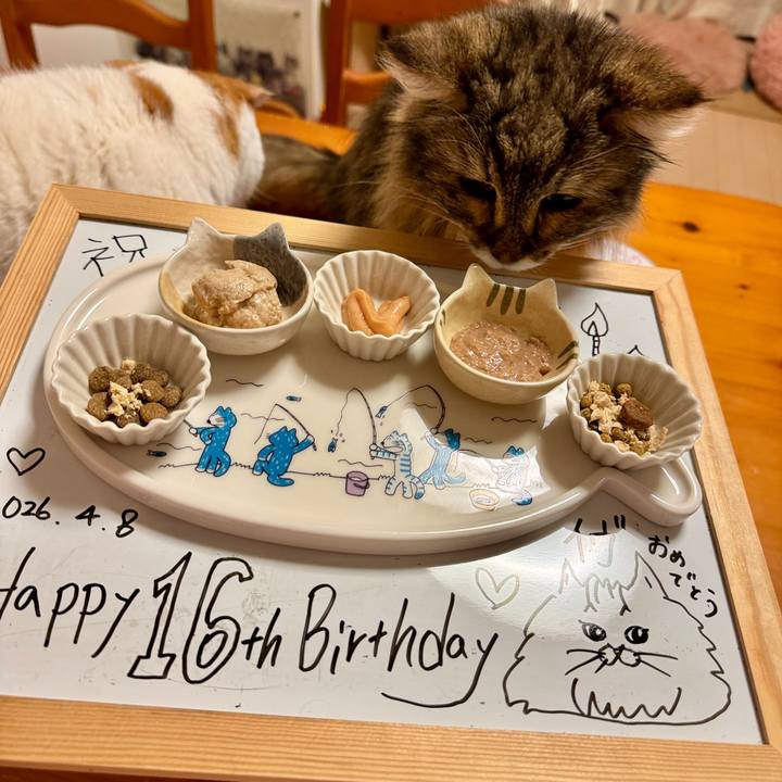 963b249b 6764 46aa 8f8d 0d3ee11b3711 1775737121990