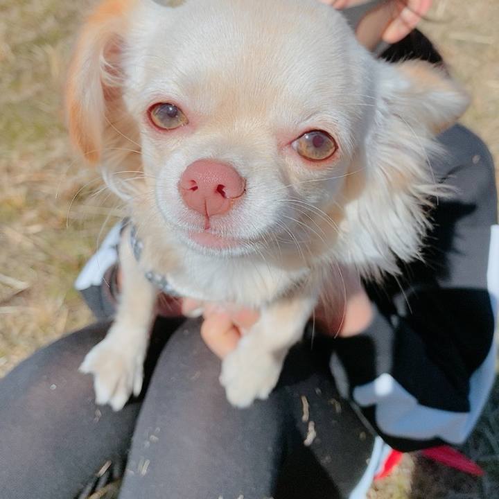 963b36c7 c35b 4953 81c1 4b643a60d685 1609404838239