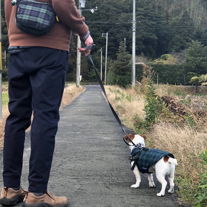 963b8f40 2b29 4276 a00d 1308caa692c5 1575108439445