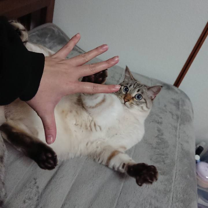 963bece7 8c16 4f43 bde2 3fb20dc20ba3 1580126935022