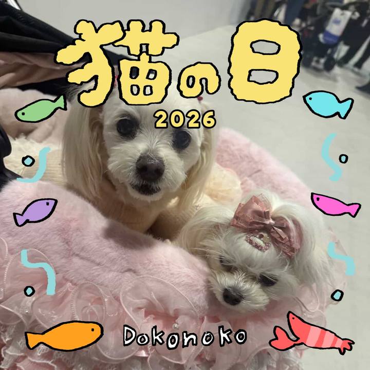 963bfa1c b044 4927 bd6b c754d97953bc 1771719171023