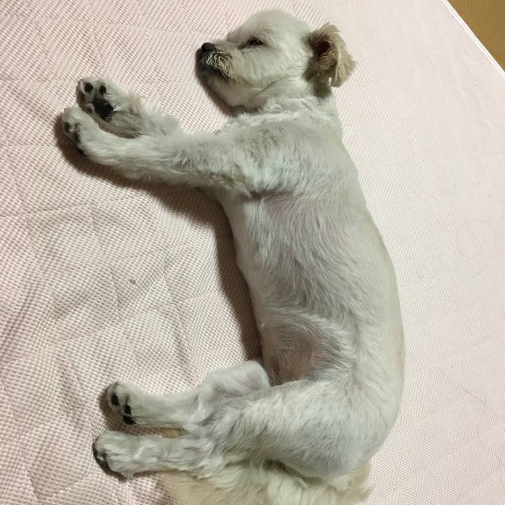 963c002f a25b 4508 9d07 792855095303 1530009811669