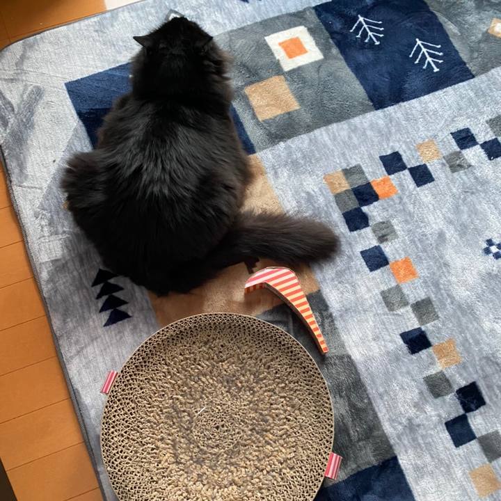 963c1f0a e1ed 4428 a18d 66355f34eec7 1580220360629