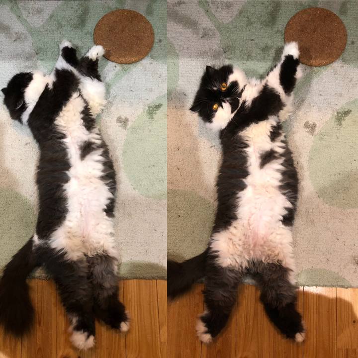 963c2be8 3789 4f37 82fc 1d0d4c7b42bb 1567861010682