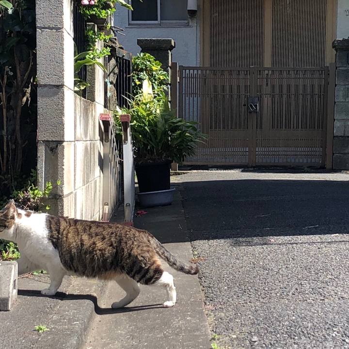 963c2c9f 0330 4f6a 901e e6377be6a1d9 1585410815803