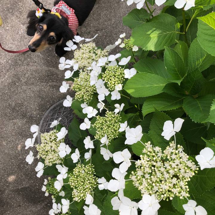 963c73c0 d1d8 4658 b79f fceeff01639d 1591401281549