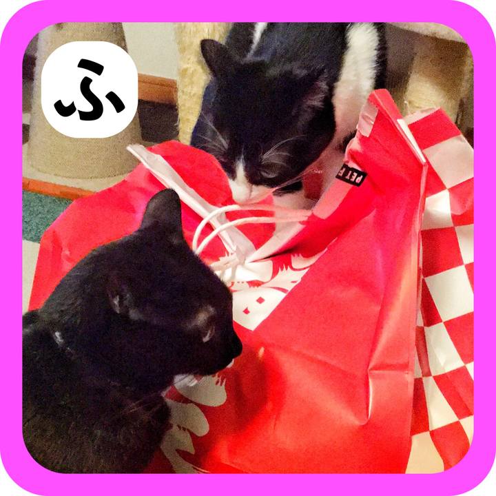 963c7f7d 7ba3 41d6 a8d3 1ff13819a103 1514959023944