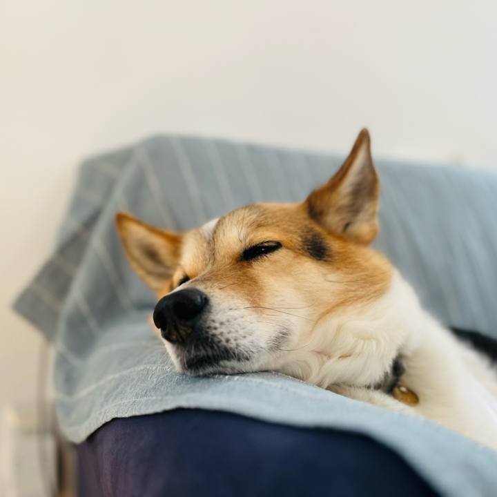 963cd699 3ea3 4c07 84c8 f2a23c64663c 1769569337368