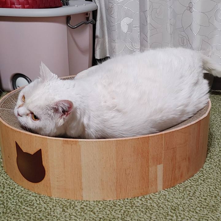 963cefc5 8662 45ef 8634 5f9c8af8743b 1706364349022