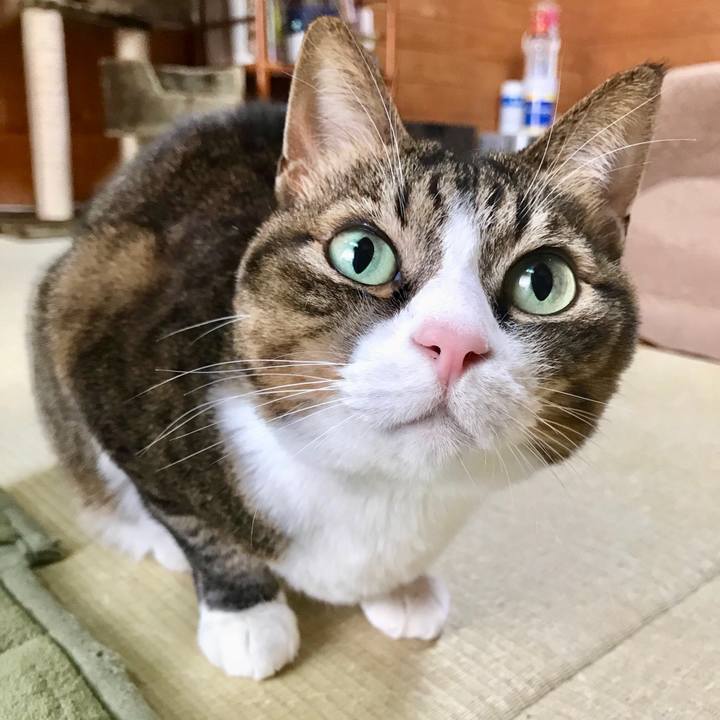 963cf94d b5b4 4176 b737 6378b1808cda 1519259767007