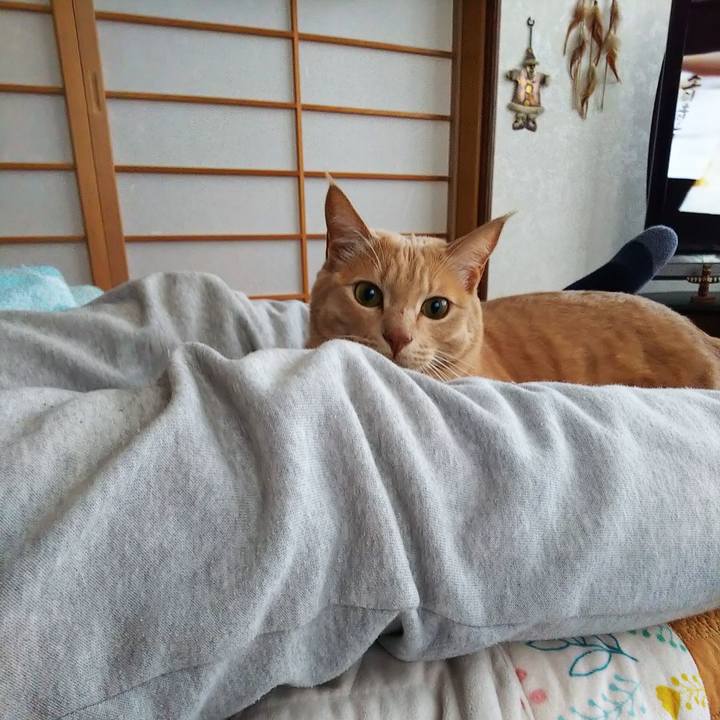 963d70ff 6dfc 424b 9d69 e07afdc2e82e 1575180252776