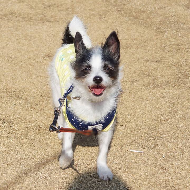 963d9328 7cdf 43ac 8a35 8eb7b0619c41 1551061861787