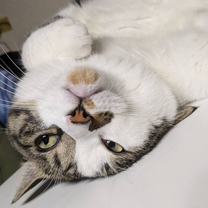 963d97c0 9a27 49ec 8bff 6aae681958bf 1727266017249