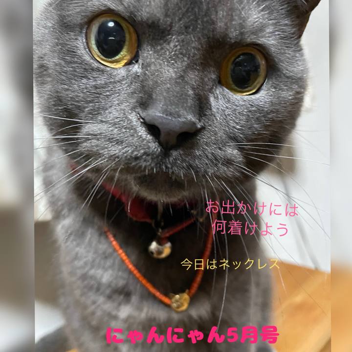 963daebe 7360 4a72 b856 7ccbead7355a 1714641307100