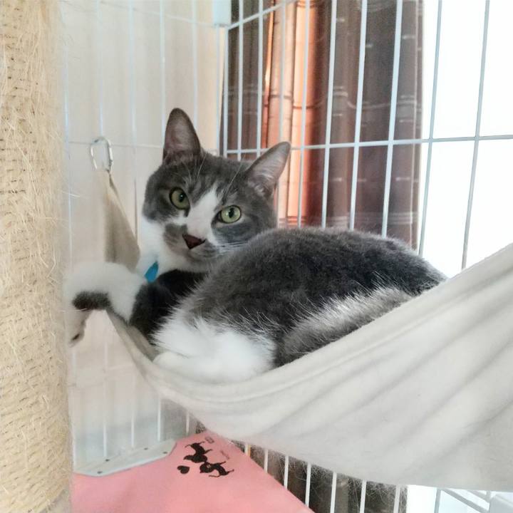 963df896 fe4a 4af8 a5ef c798bfb112a4 1647332747844