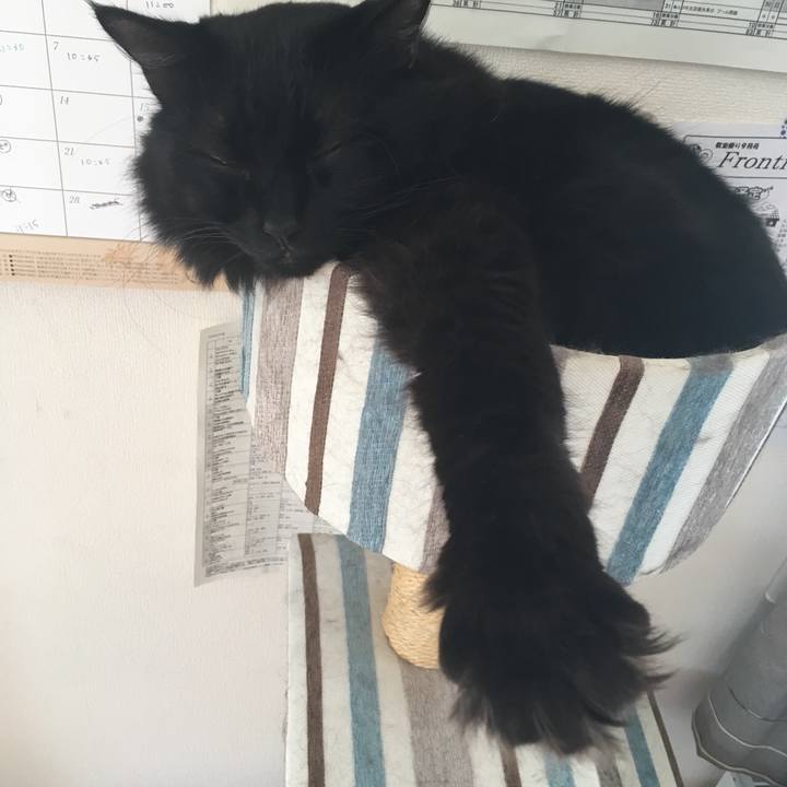 963e0ace 2429 478f a79c 041b2d9d4f91 1536978880578