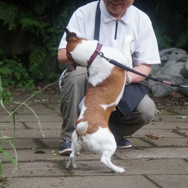 963e117b 3ecd 4376 8b4e 52c456a7353f 1528843731521