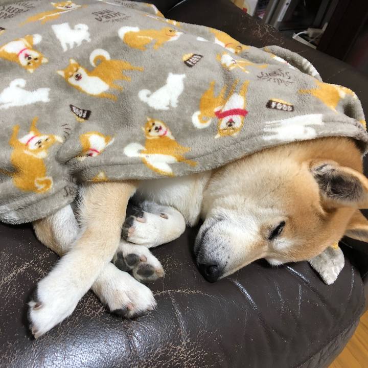 963e12b8 5a88 491f 9cb3 63a1d8b206f9 1550748021867